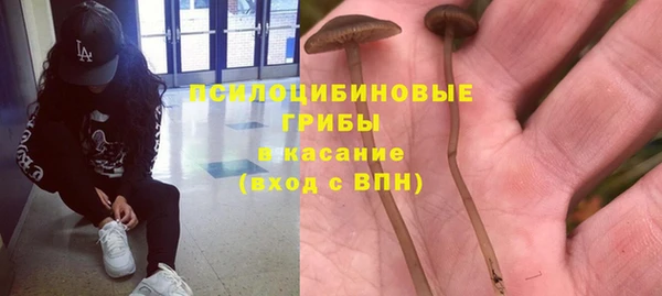 индика Аркадак
