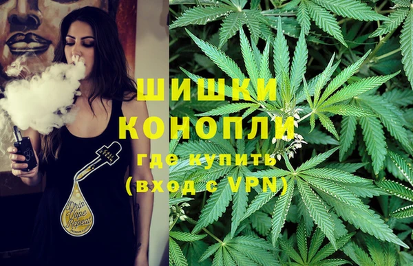 индика Аркадак
