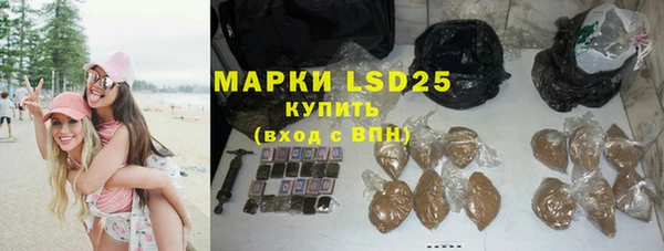 индика Аркадак