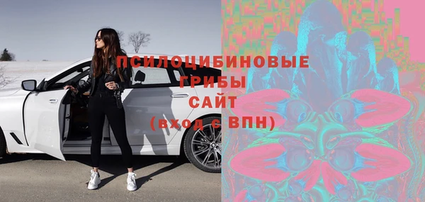 индика Аркадак